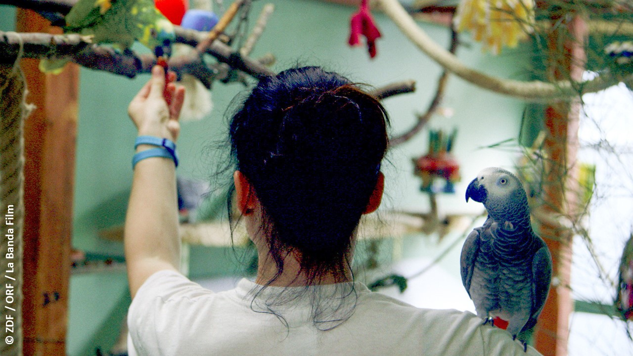 3sat TiereUndAndereMenschen c ZDF ORF La Banda Film web