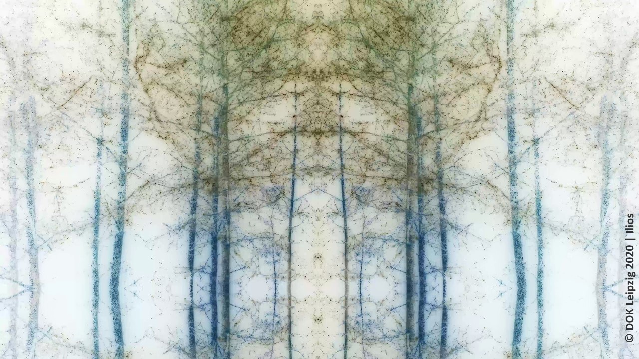 Ilios c DOK Leipzig2020