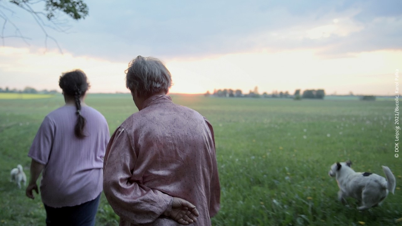 DOK Leipzig 2021 Abschlussbericht Bucolic c DOK Leipzig 2021 Filmtitel Karol Pałka