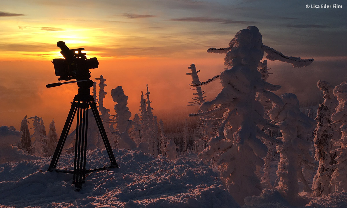Der Wilde Wald Winter Dreh by Lisa Eder Film web