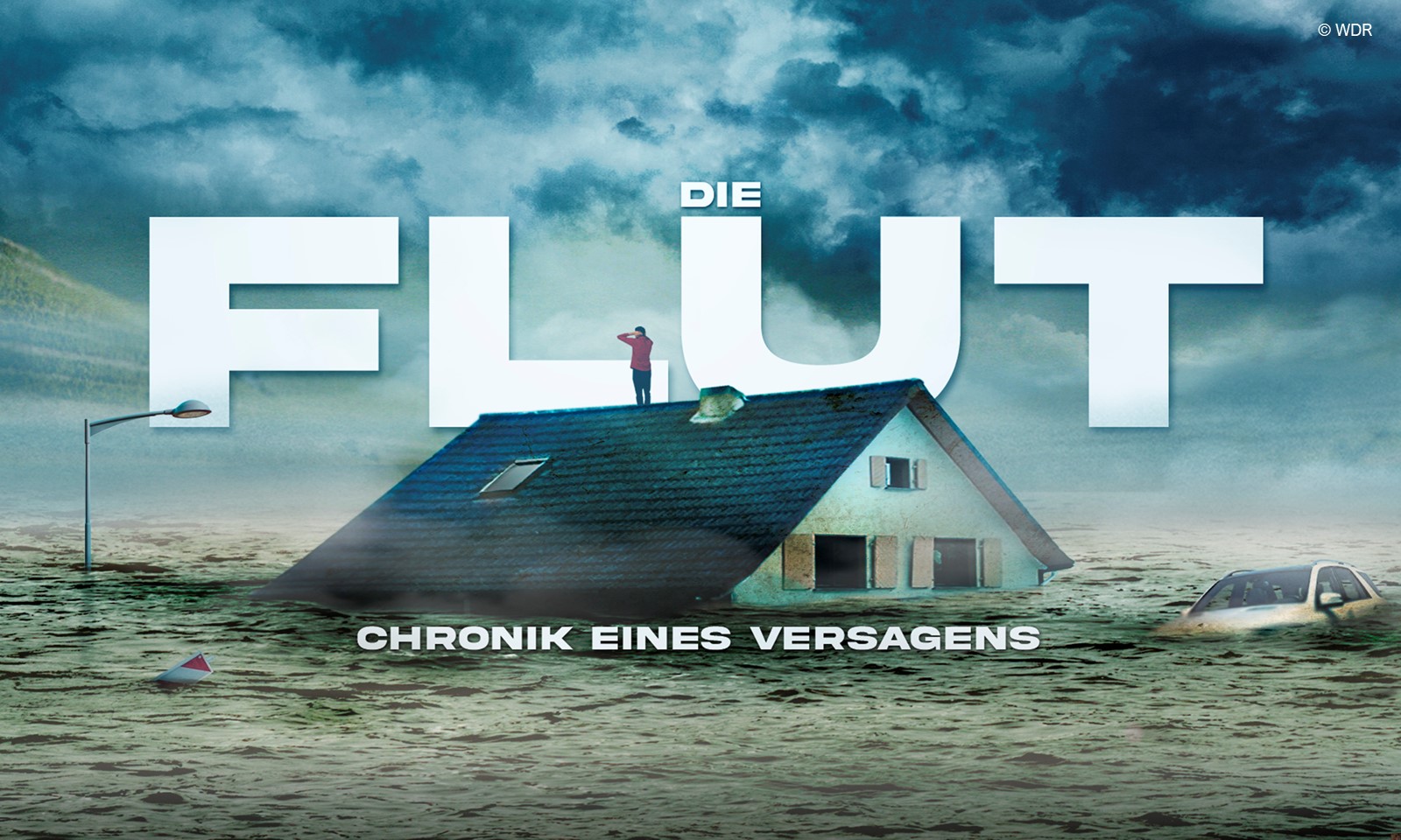 Flut2 web