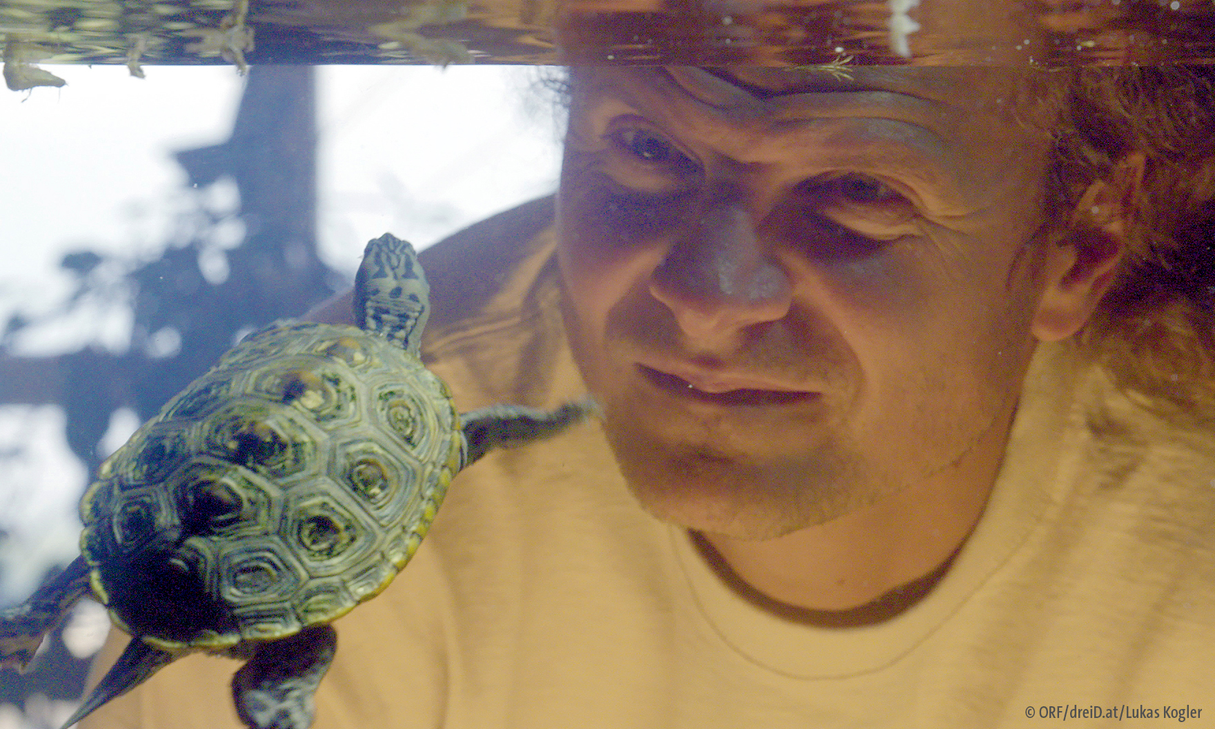 Filmstill aus "Turtle Hero"