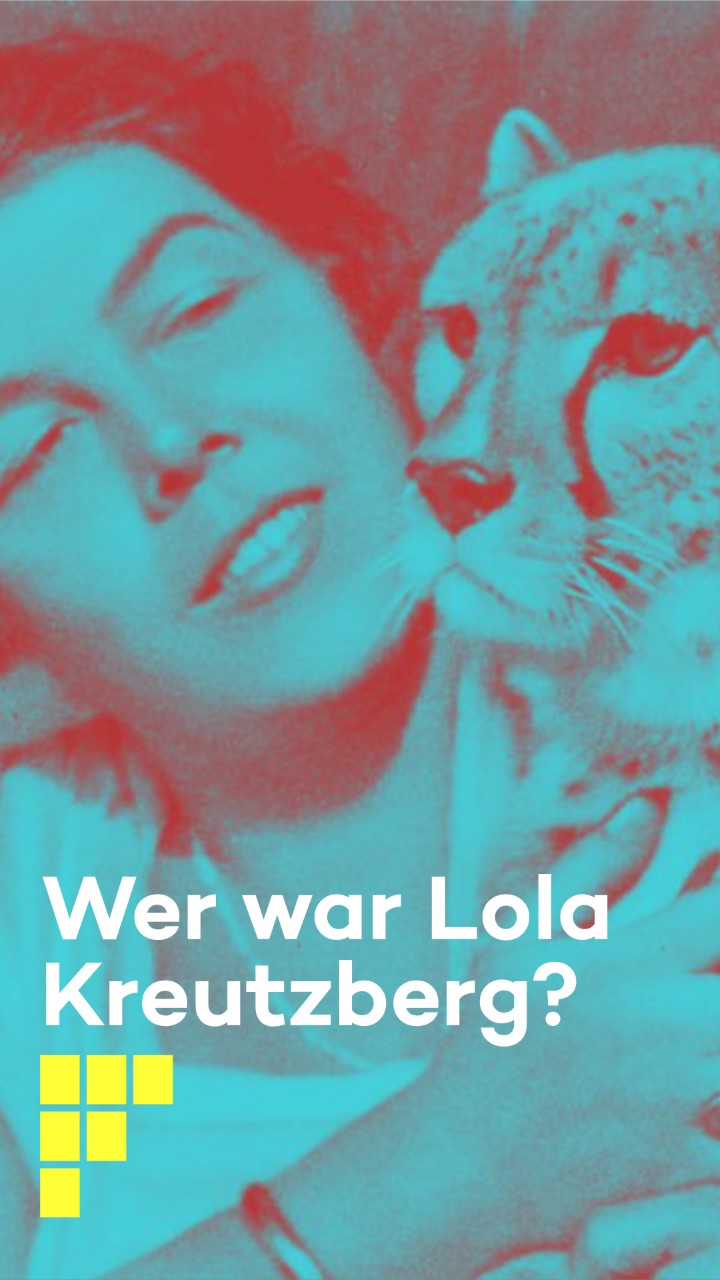 Insta Story2 Filmwissen Online Launch