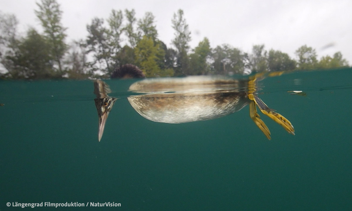 Der unsichtbare Fluss 02 laengengrad filmproduktion web