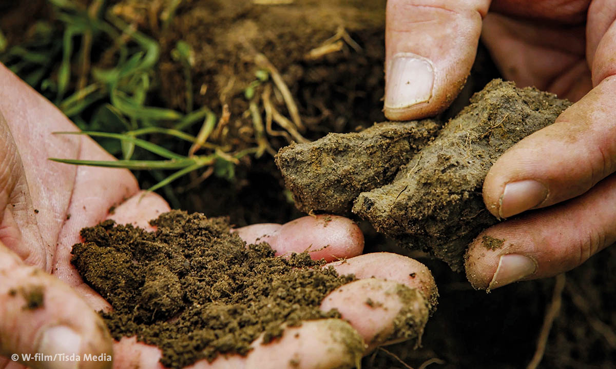 unserboden01b wfilm web