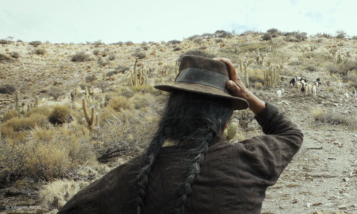 Filmstill "Mein fremdes Land": Balbina blickt auf die aus den Bergen heimkehrenden Ziegen, © Johannes Preuss