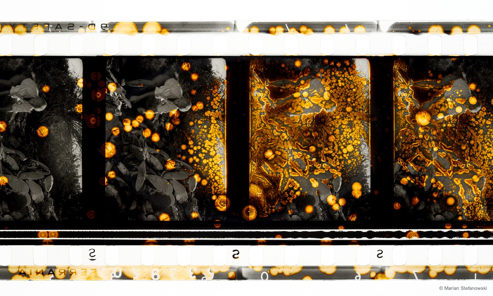 FrameByFrame Redoxflecken Foto M Stefanowski web