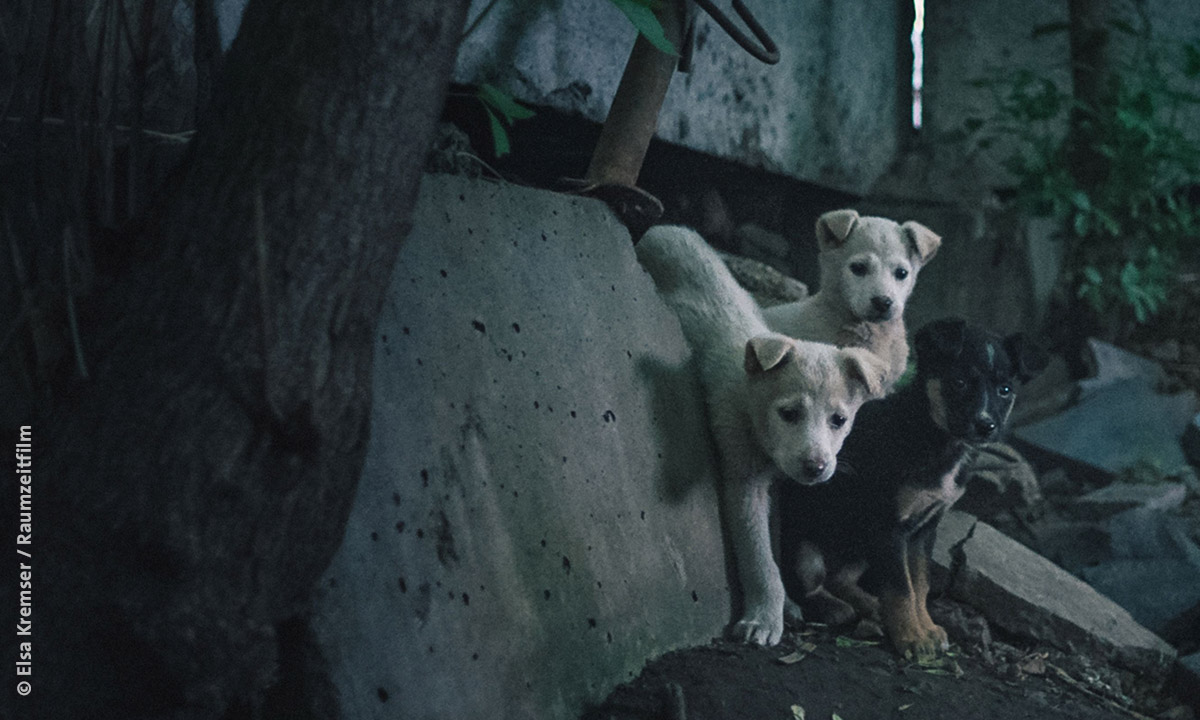 Filmstill07 SpaceDogs by Elsa Kremser Raumzeitfilm
