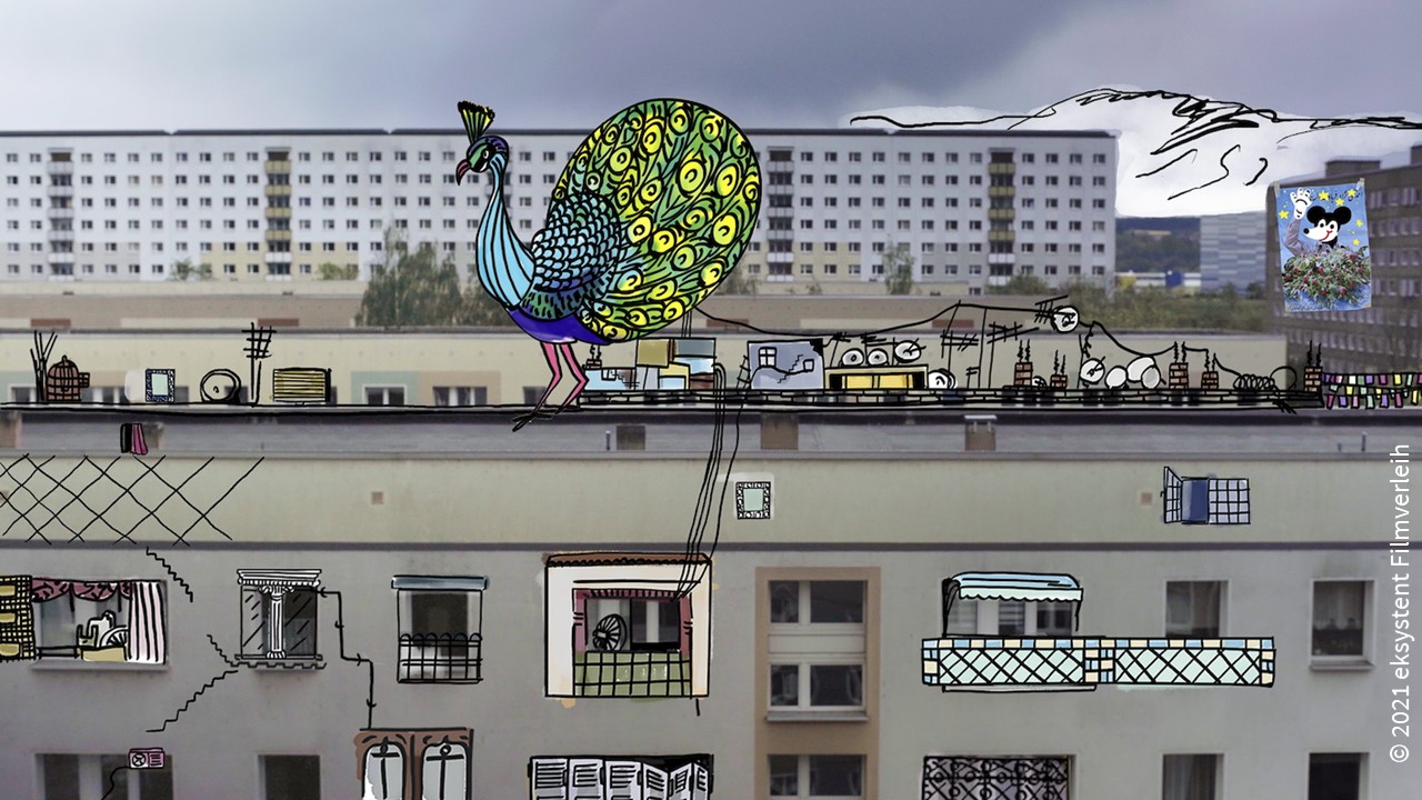 Dokumentarfilm Meine Wunderkammern 01 c 2021 eksystent Filmverleih