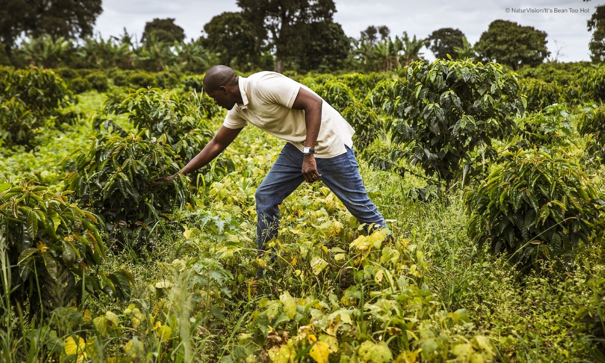 NaturVision 2022 its bean too hot web