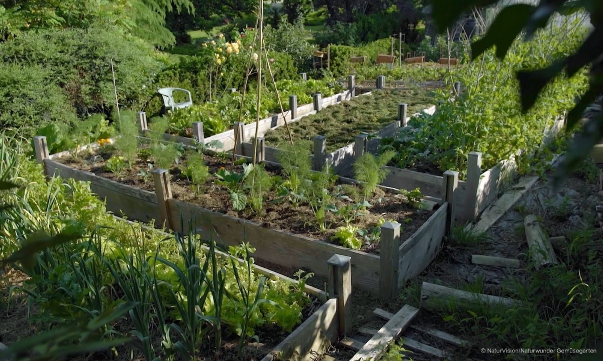 NaturVision 2022 naturwunder gemuesegarten web
