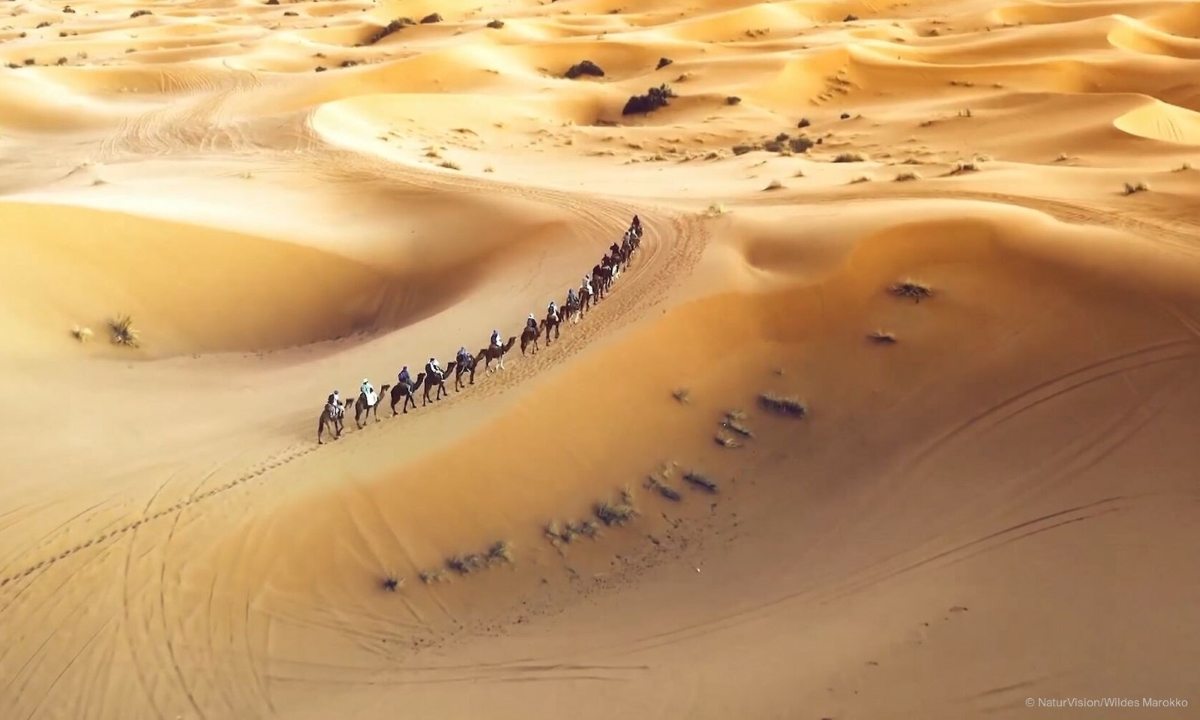 NaturVision 2022 wildes marokko web