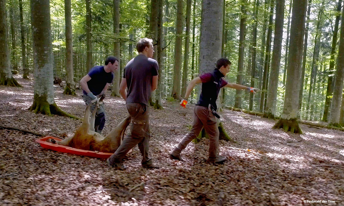 NaturVision2021 festmahl der tiere web