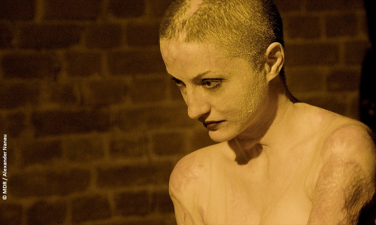 3 Collective MDR Alexander Nanau web