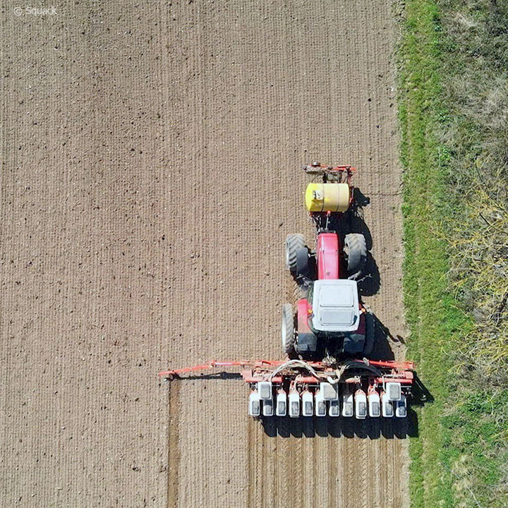 Insektenkiller by Squack square