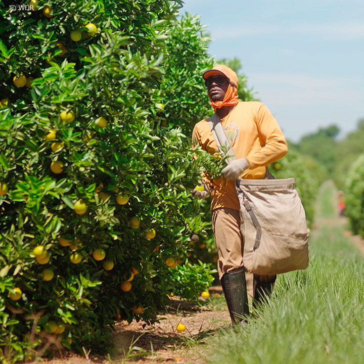 Saftige Geschaefte by WDR square