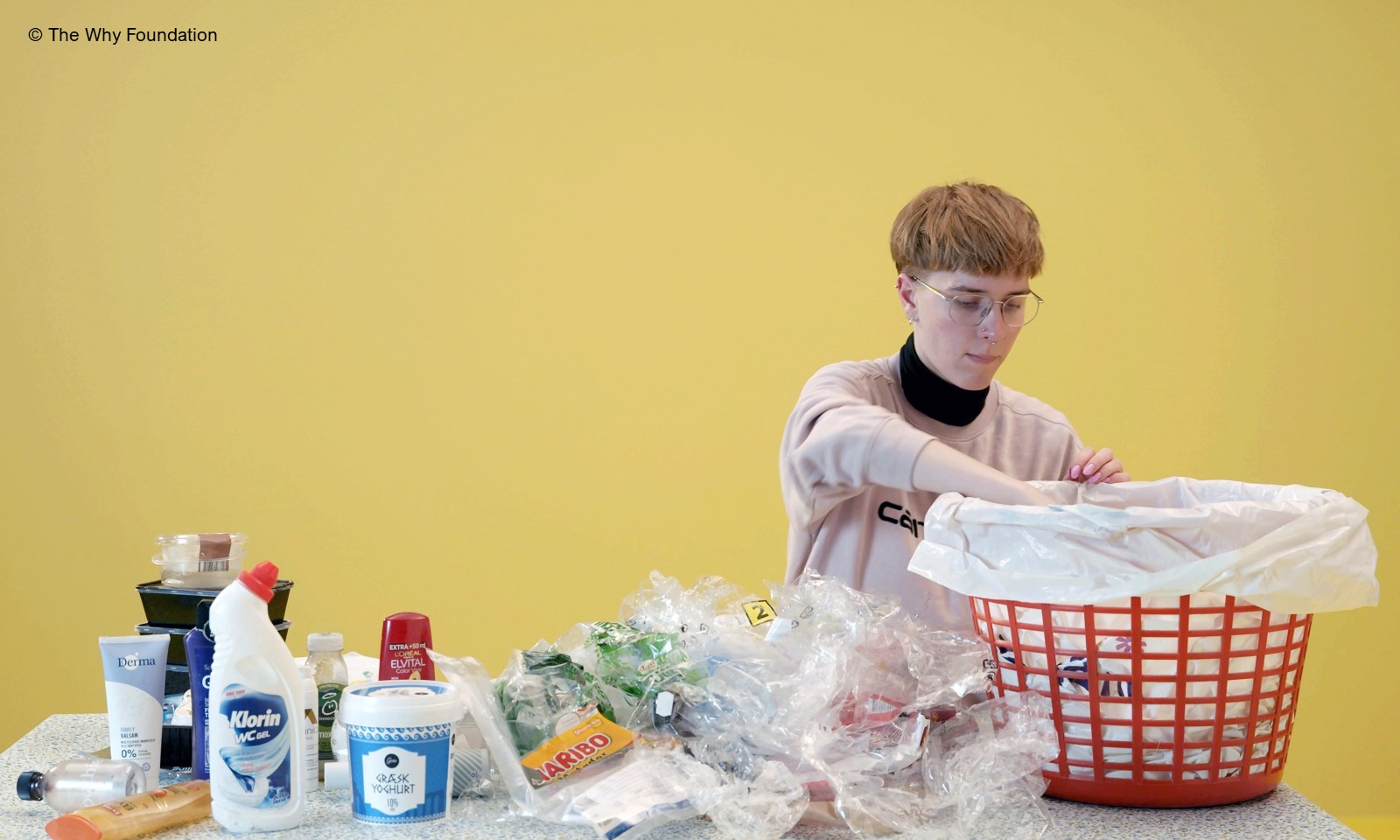 The Why Foundation4 web