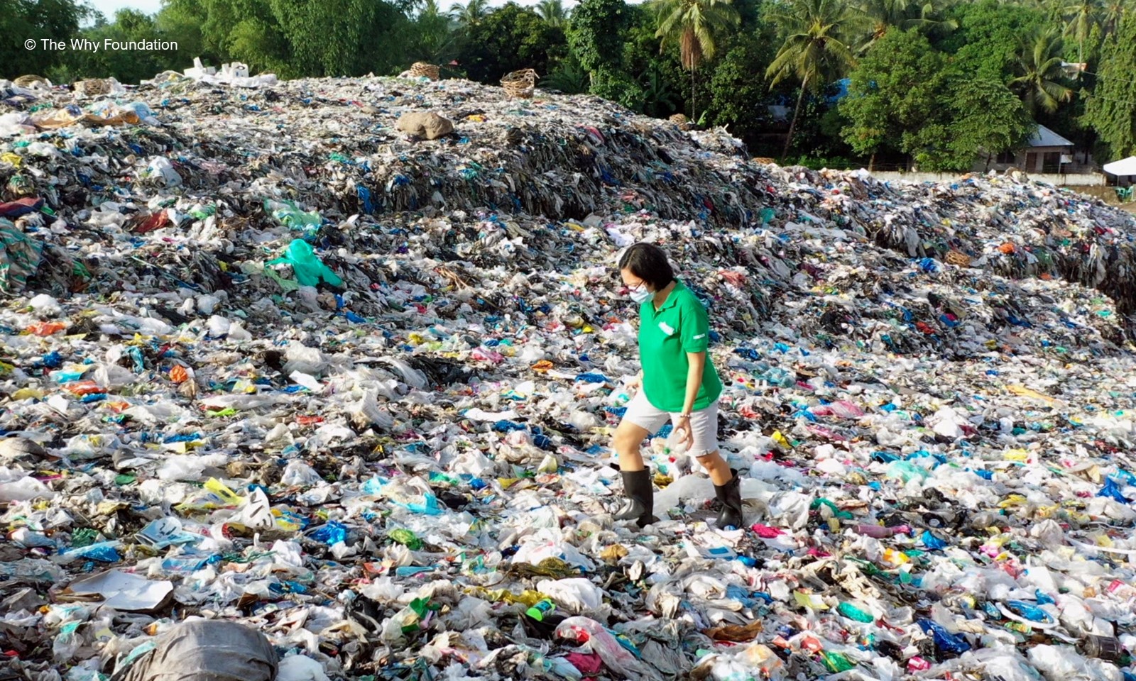 The Why Foundation web