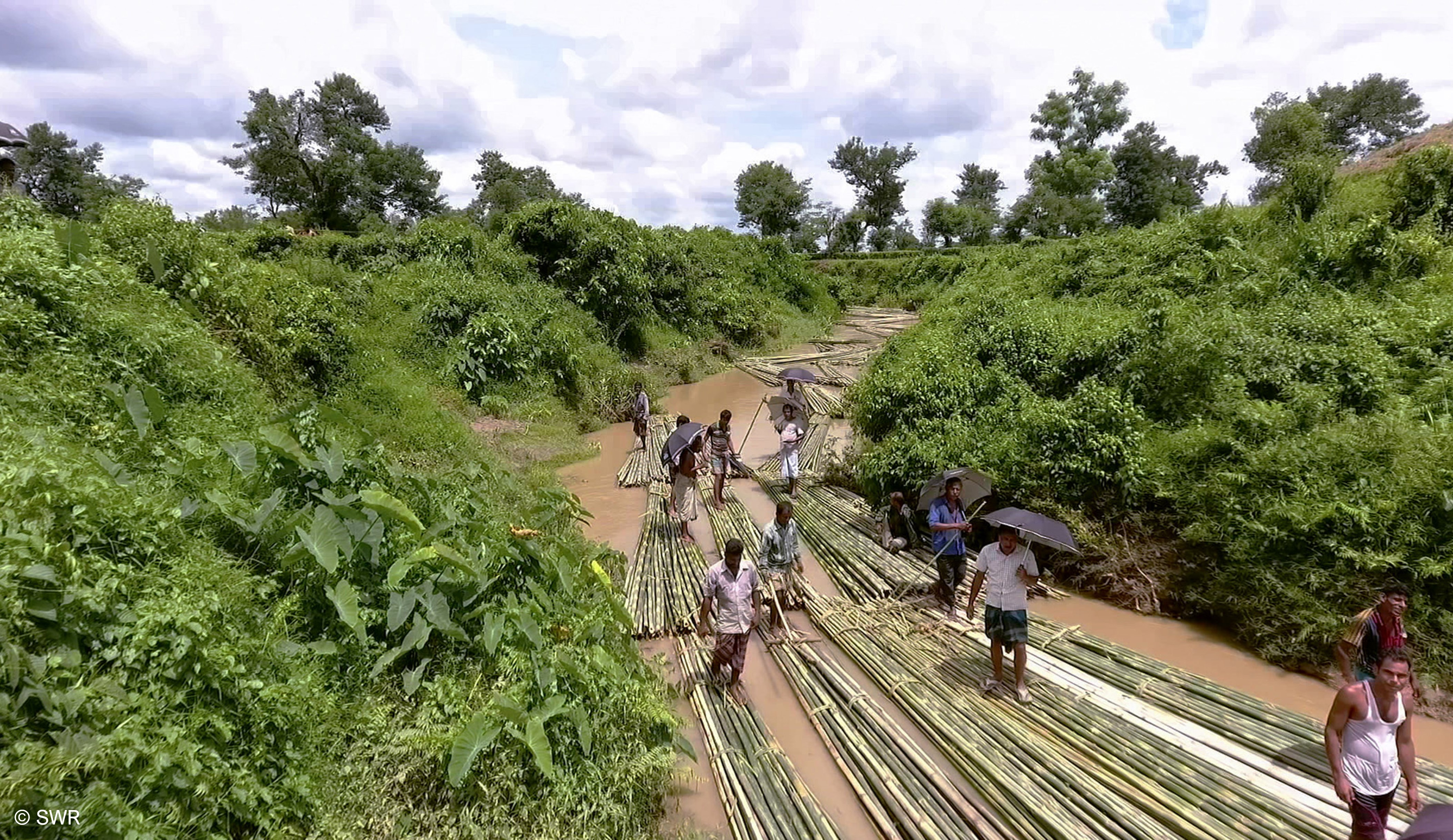 Bambusflößer Web SWR