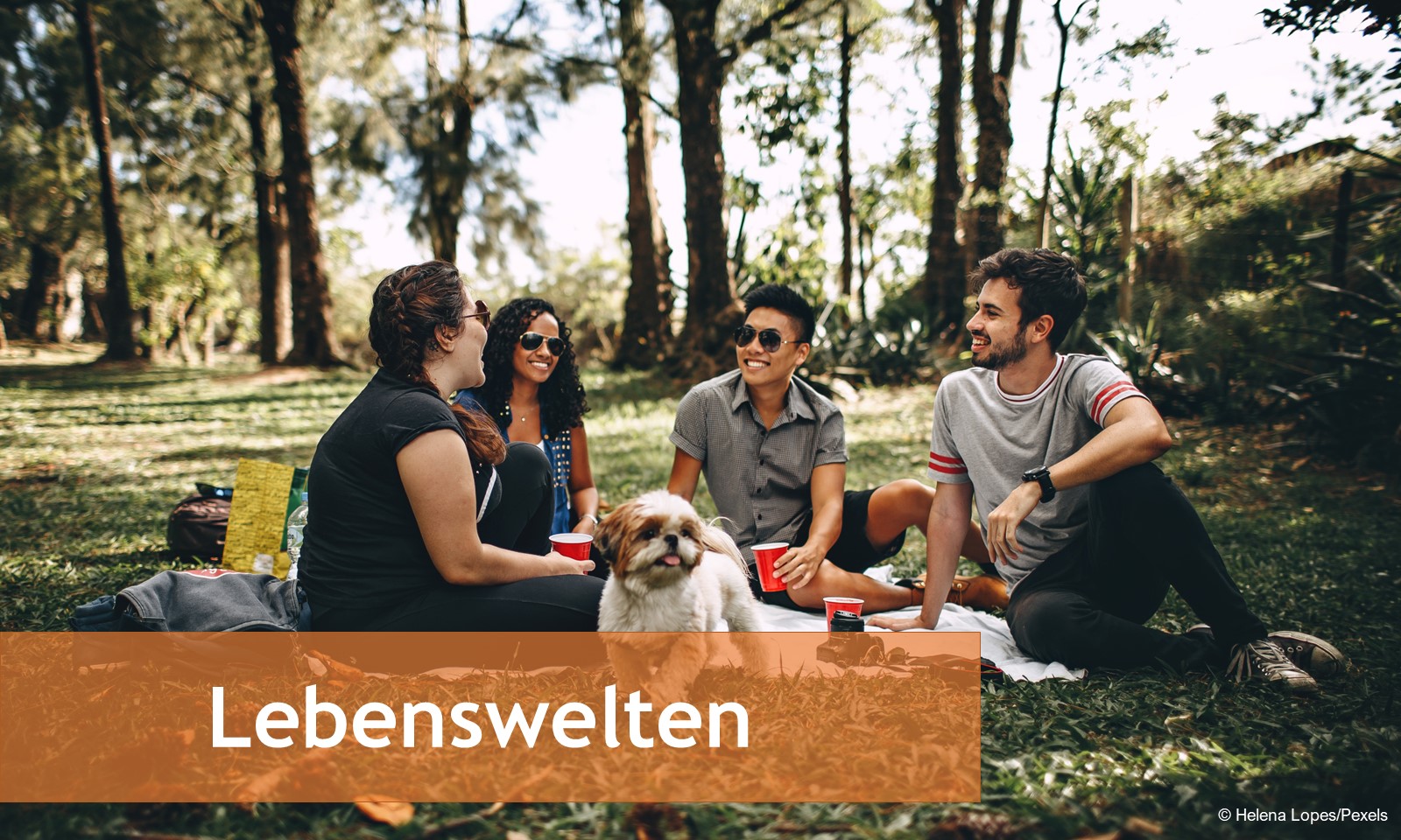 Banner Vorlage Lebensräume