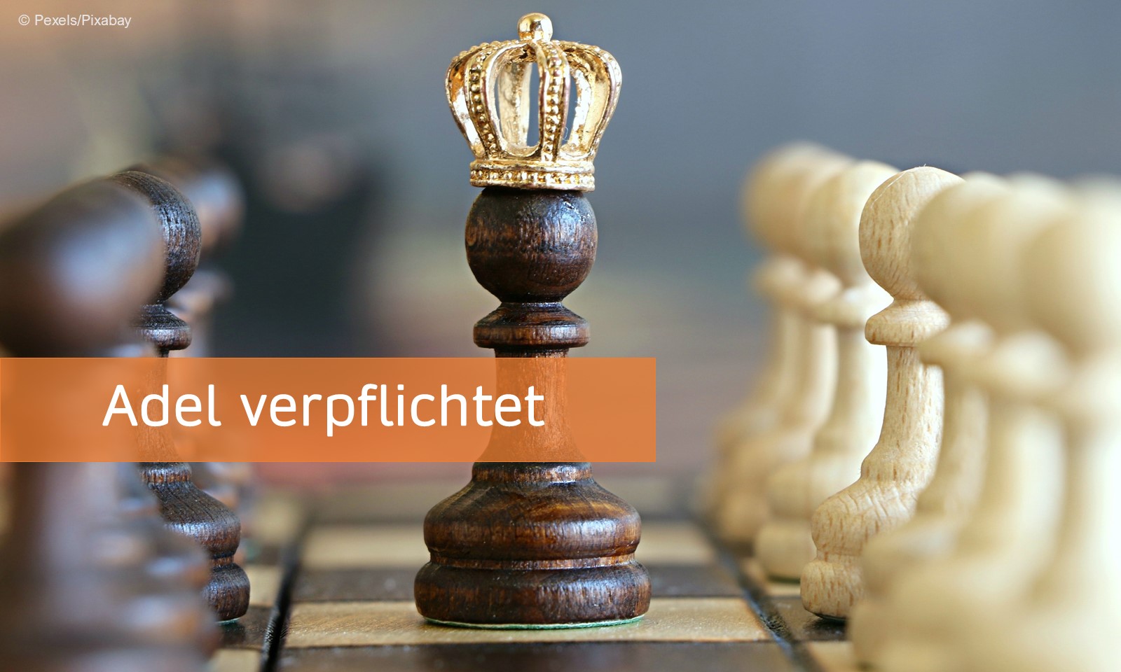Banner Adel verpflichtet