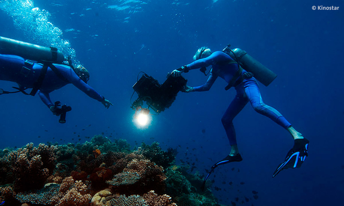 WondersOfTheSea 240 WOTS3D JJM GMKReef UW BTS web