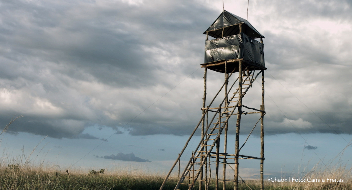 Chao  | Foto: Camila Freitas