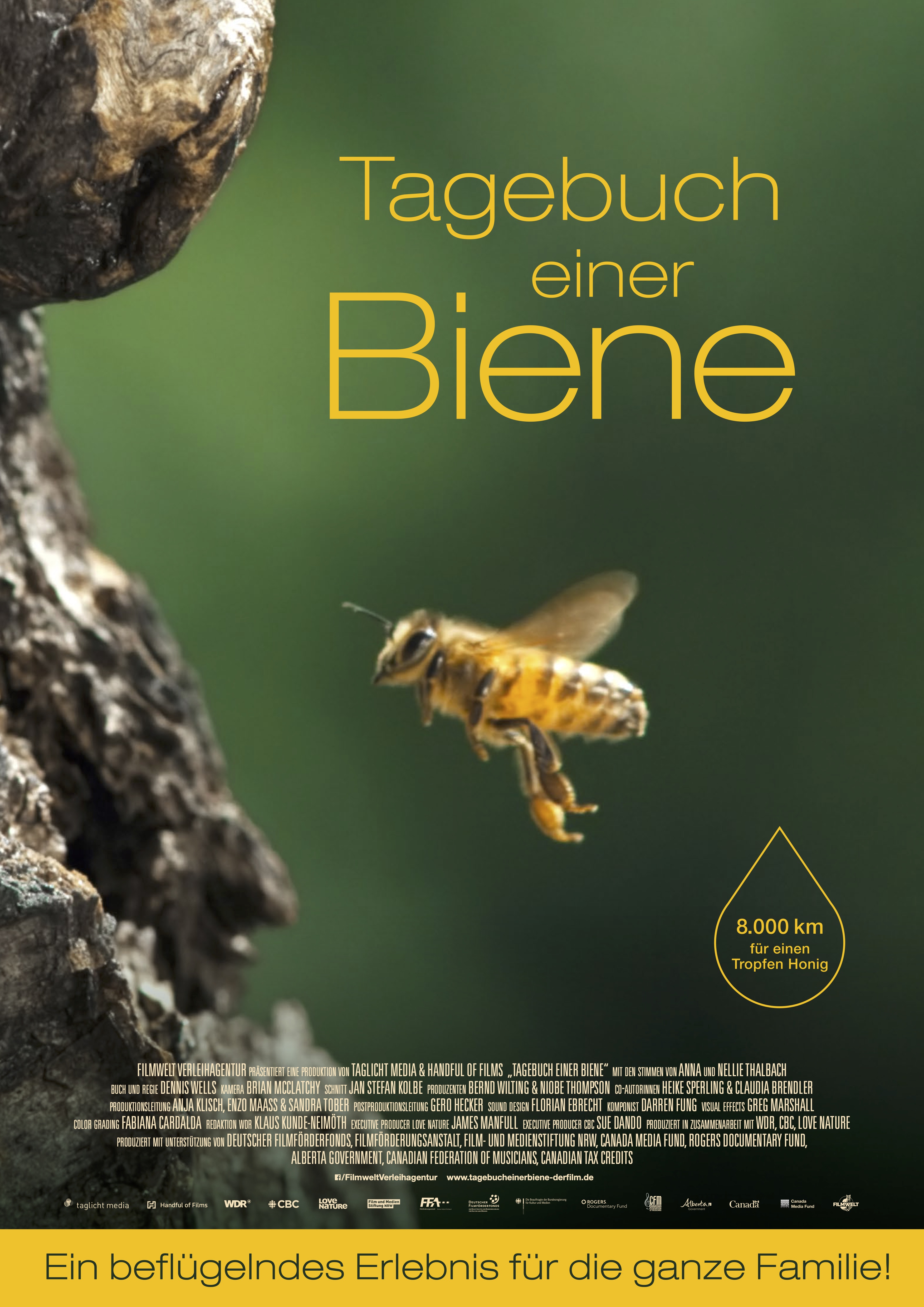 Biene Poster 1