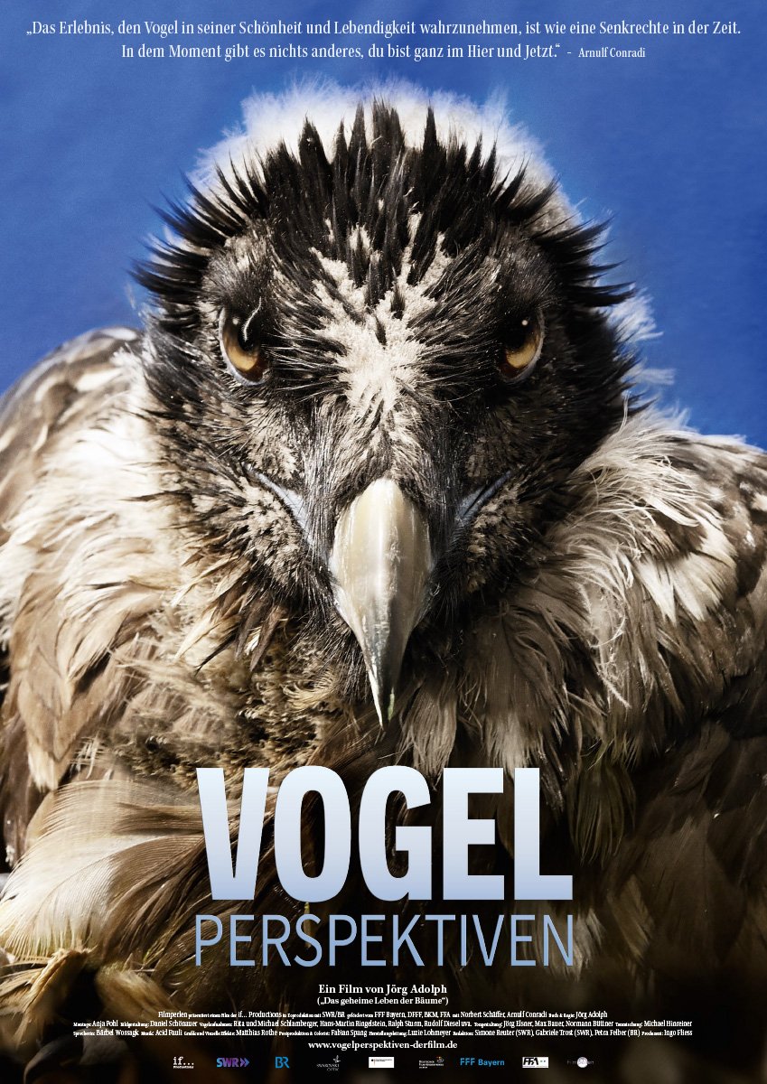 Vogel