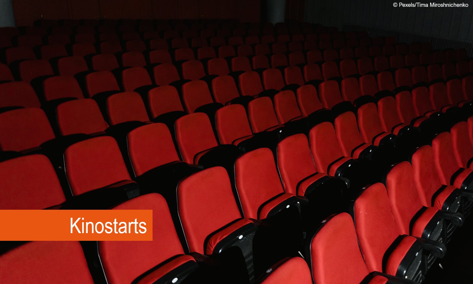 Neu im Kino - diese Dokus laufen am 16.02.23 an 