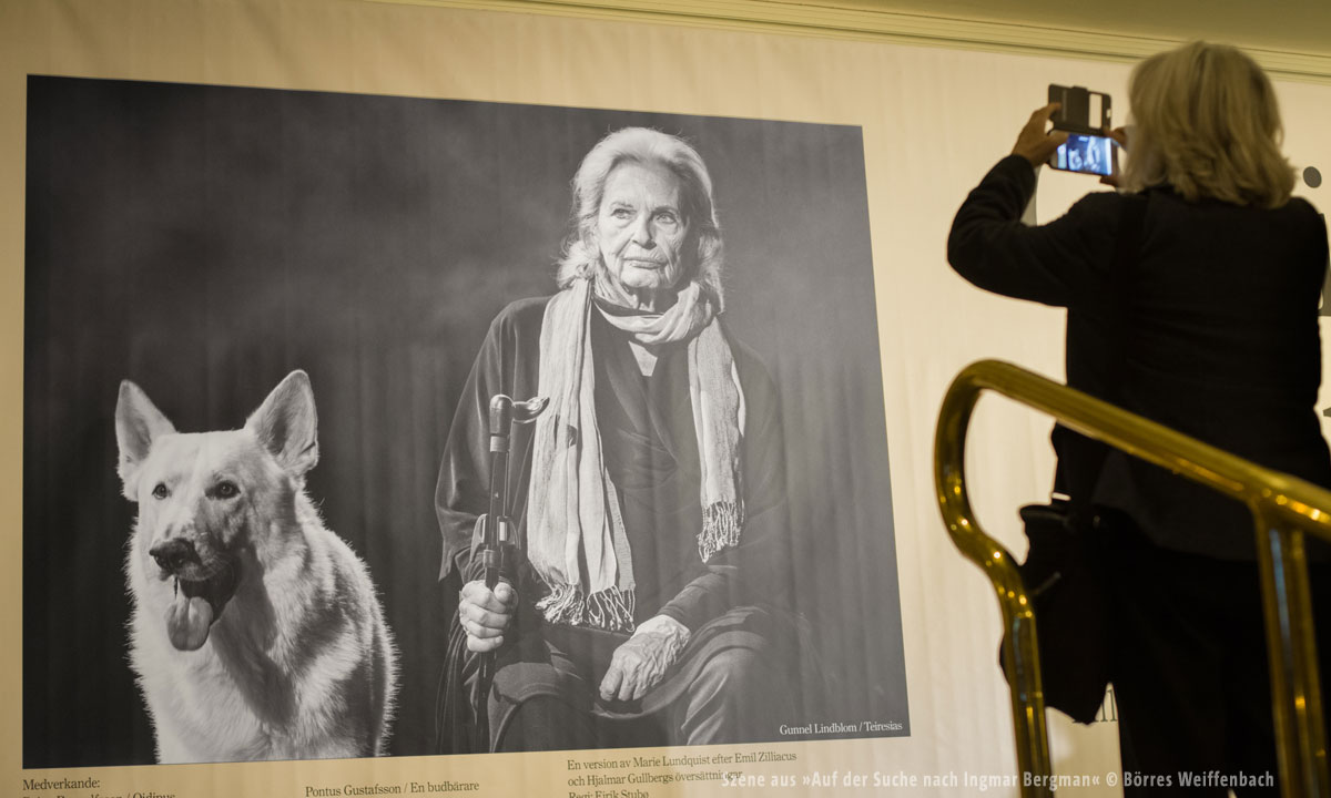 aufdersuchenachingmarbergman_2_1200px.jpg aufdersuchenachingmarbergman_2_1200px.jpg