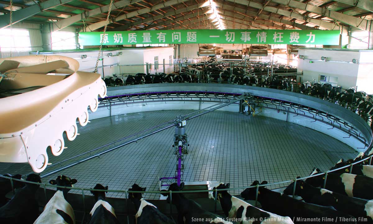 das_system_milch_11_1200px.jpg das_system_milch_11_1200px.jpg