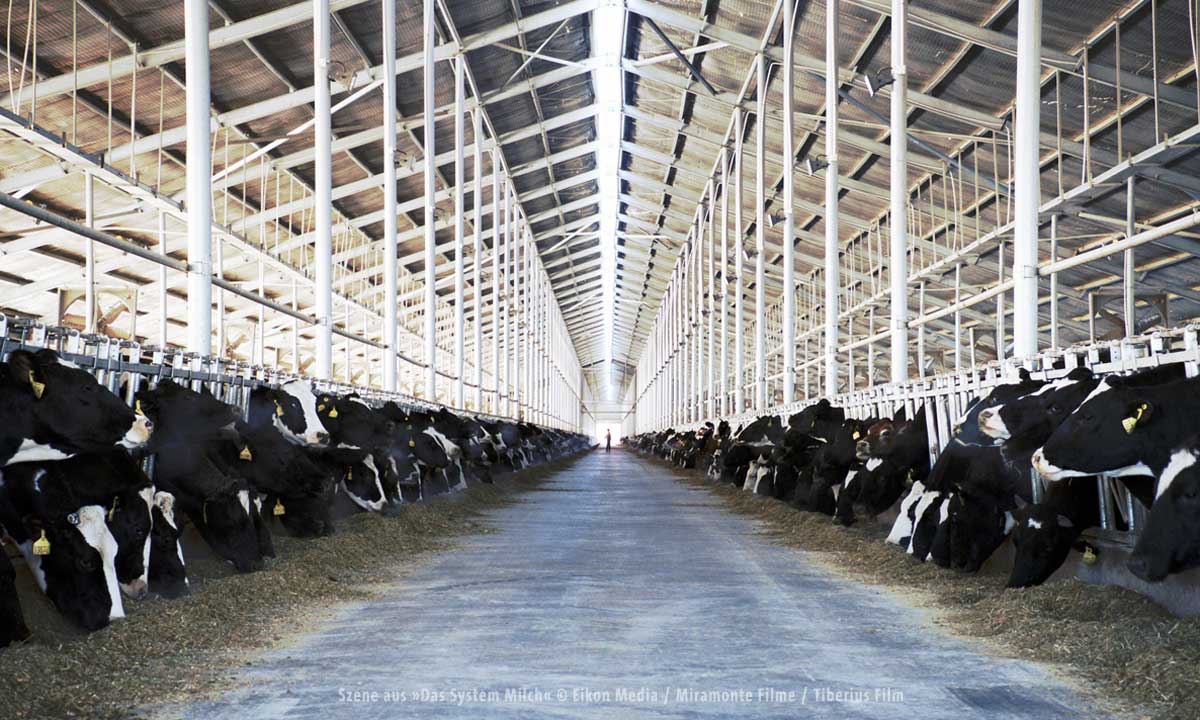 das_system_milch_1_1200px.jpg das_system_milch_1_1200px.jpg