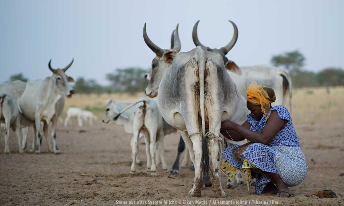 das_system_milch_4_1200px.jpg das_system_milch_4_1200px.jpg