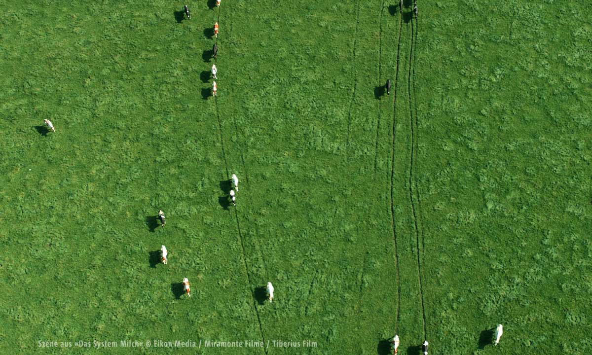 das_system_milch_8_1200px.jpg das_system_milch_8_1200px.jpg