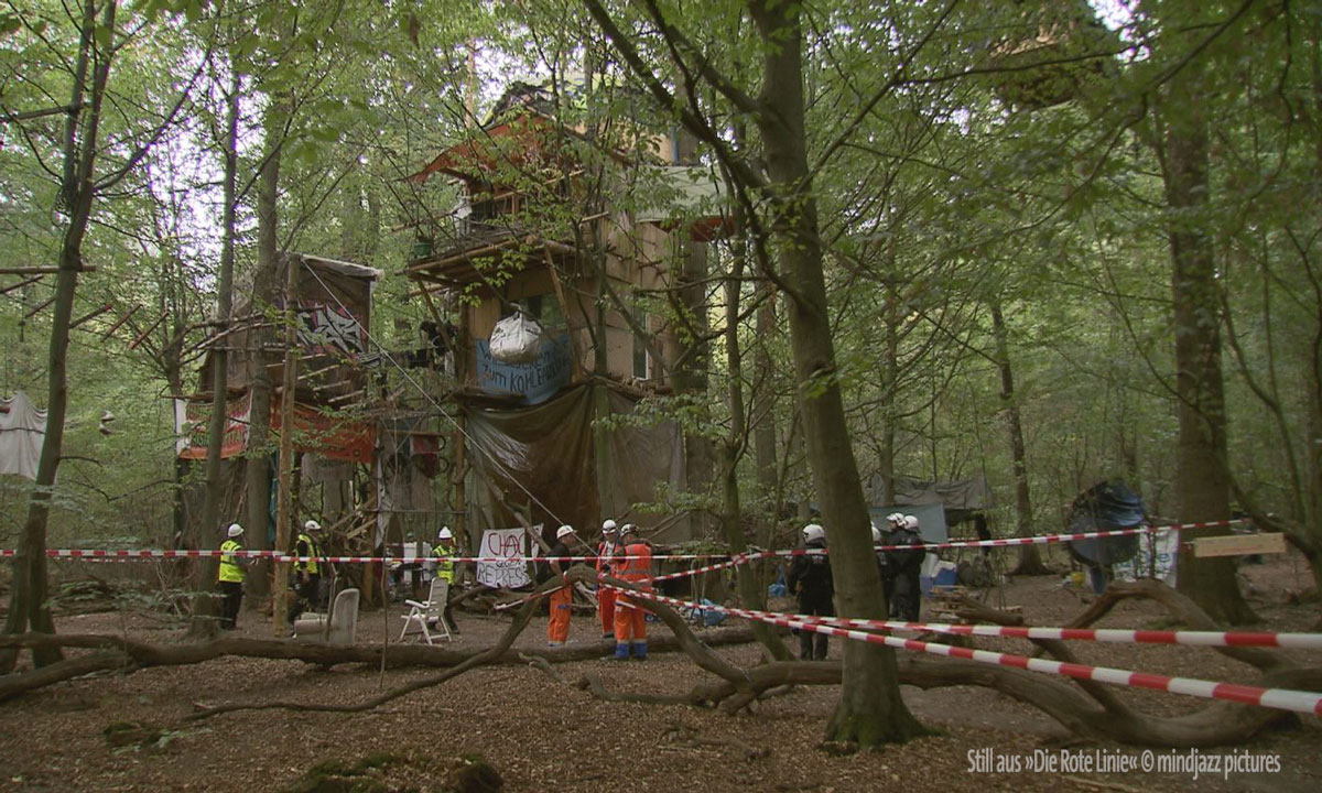 &copy;mindjazz pictures