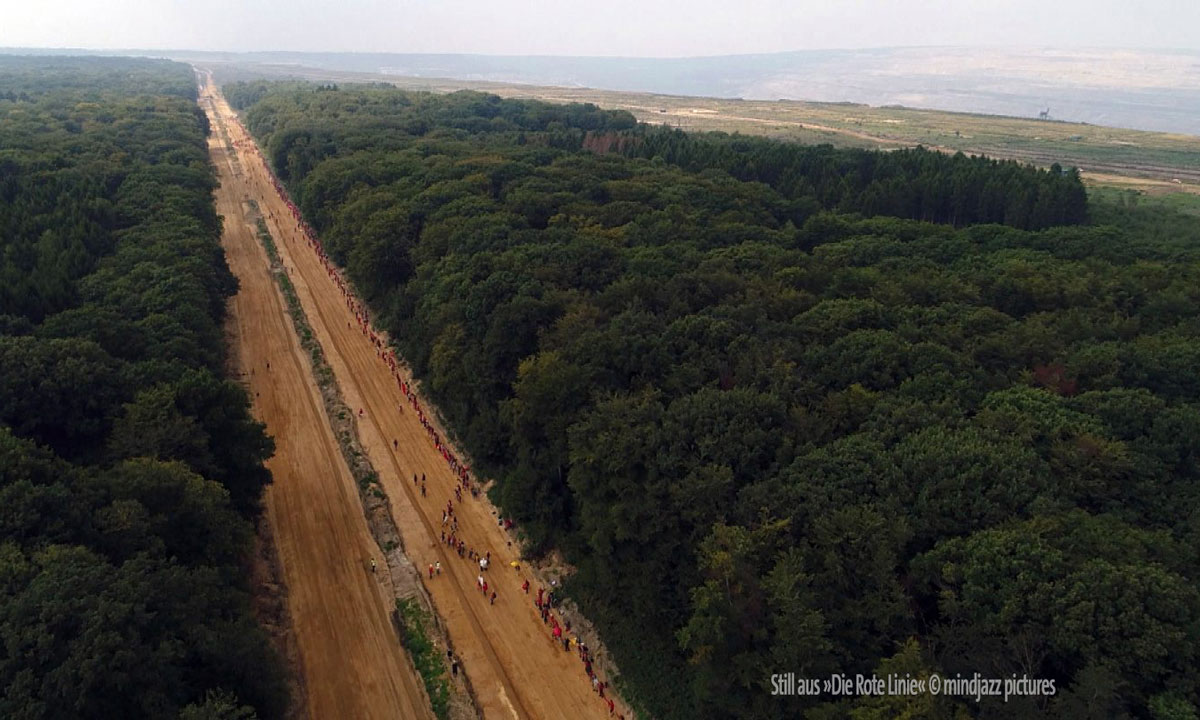 &copy;mindjazz pictures