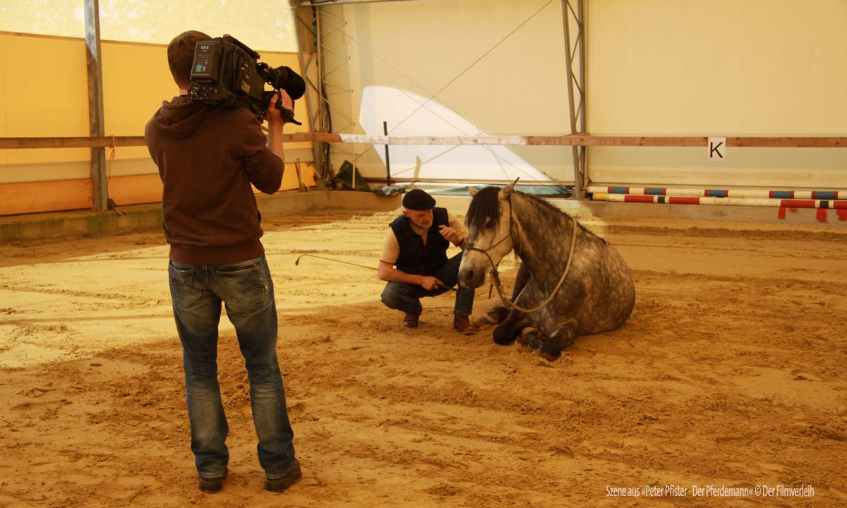 &copy; Der Filmverleih