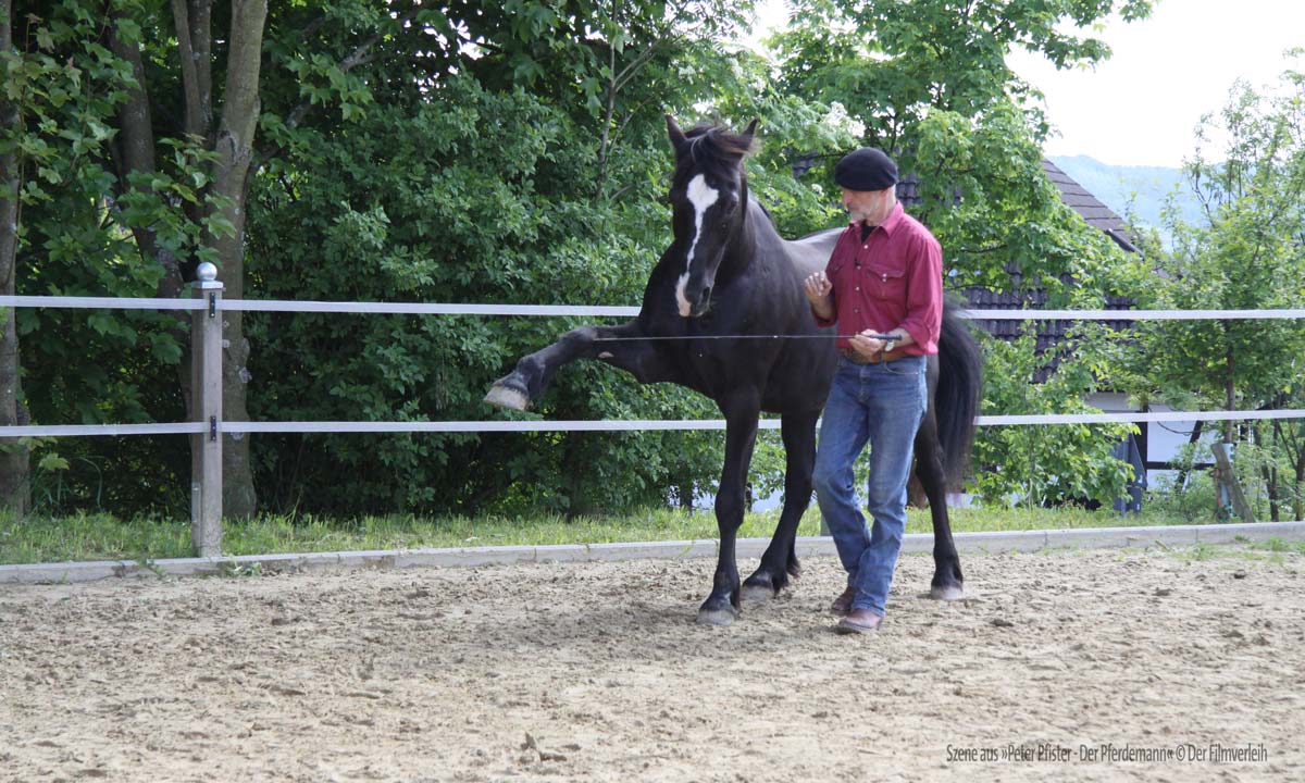 &copy; Der Filmverleih