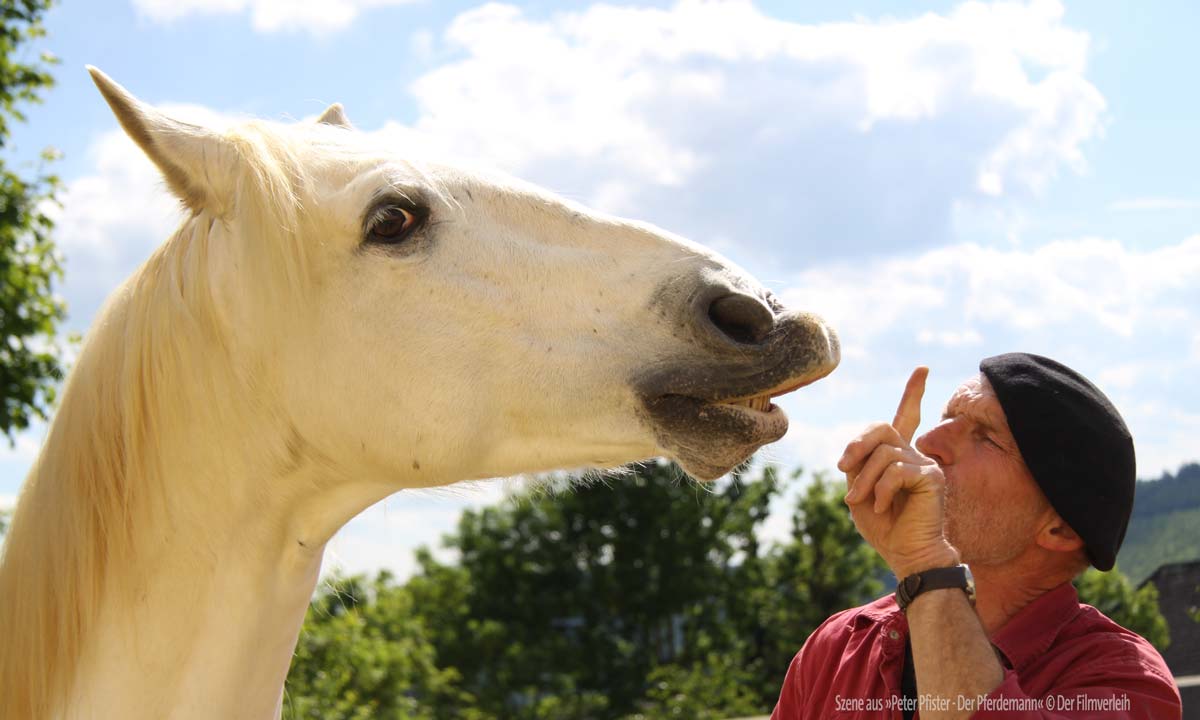 &copy; Der Filmverleih