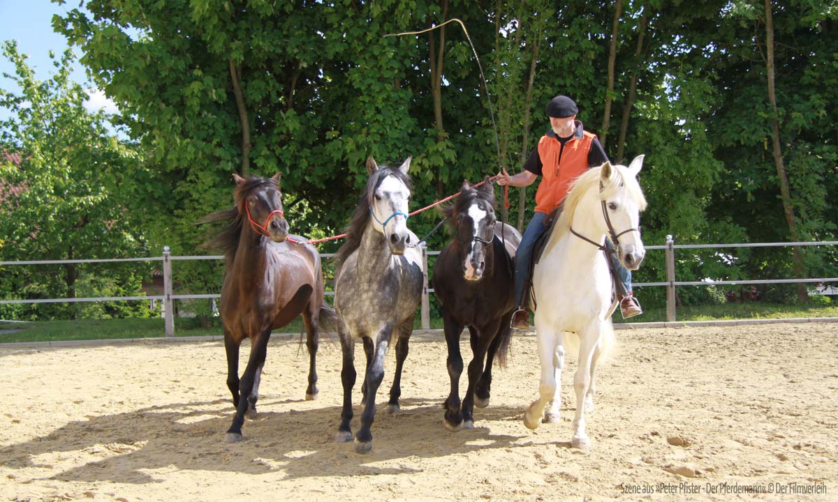 &copy; Der Filmverleih