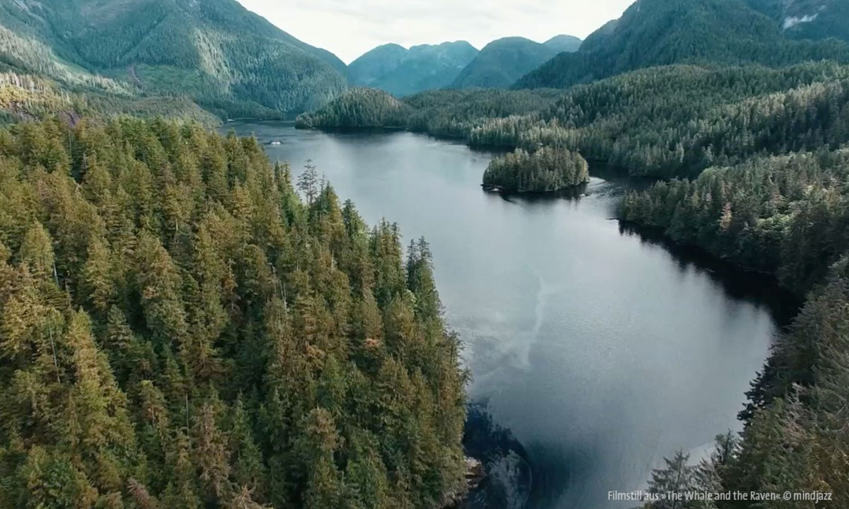 Filmstill aus dem Film &raquo;The Whale and the Raven&laquo; &copy; mindjazz