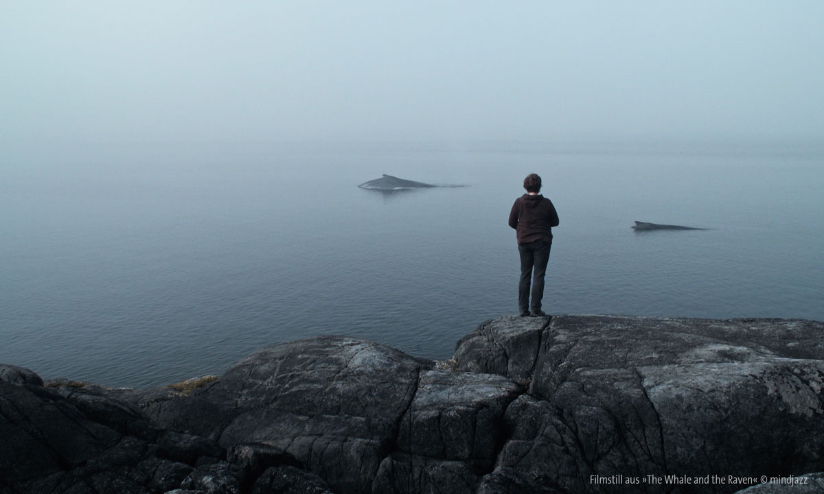 Filmstill aus dem Film &raquo;The Whale and the Raven&laquo; &copy; mindjazz