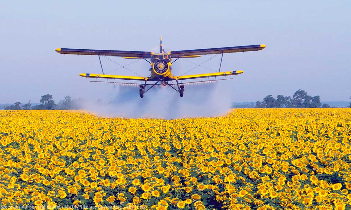 Szene aus »Unser täglich Brot« © ZDF/Nikolaus Geyrhalter; Lucky Films