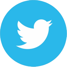 Icon Twitter