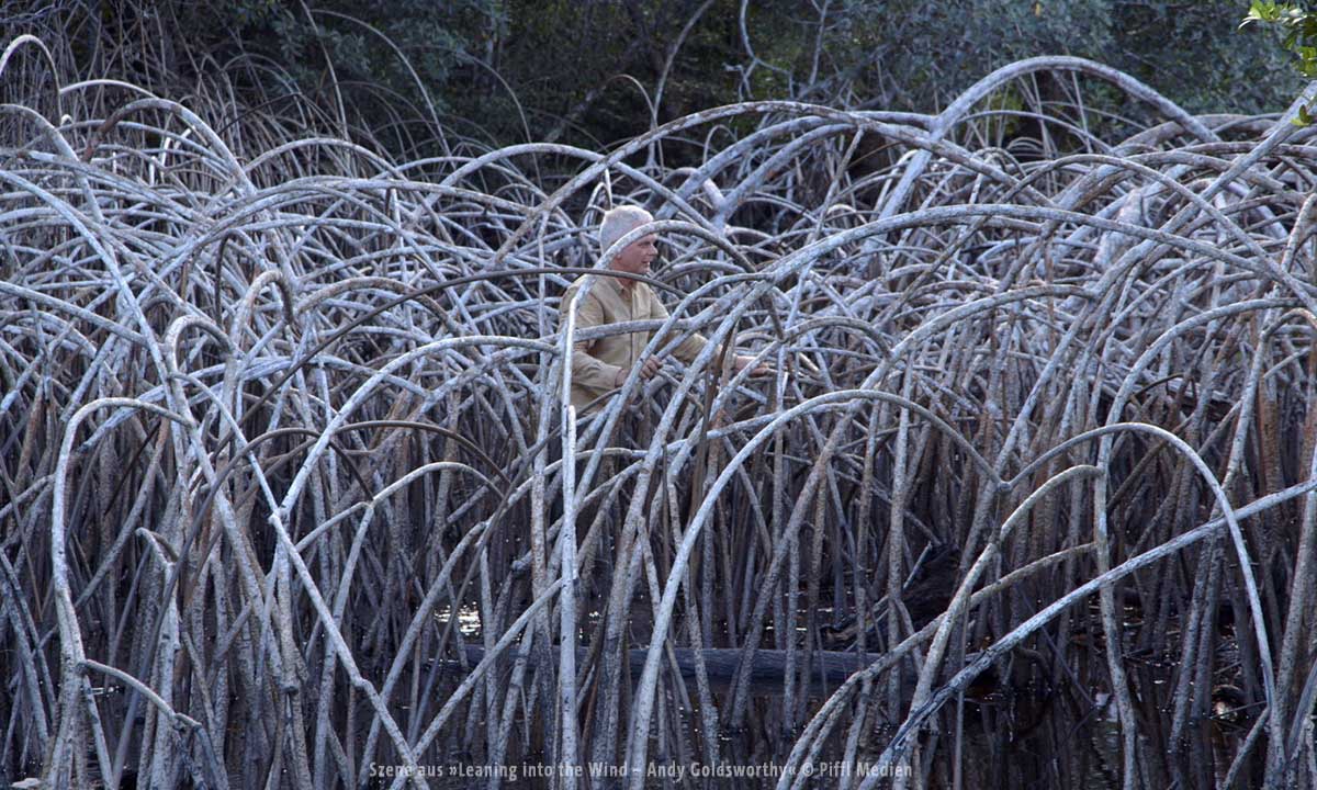 ekstase 5 leaning into the wind 1200px