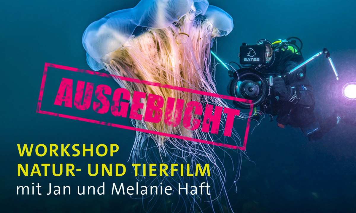 AUSGEBUCHT: Workshop Natur- und Tierfilm – 22.7.22, HDF